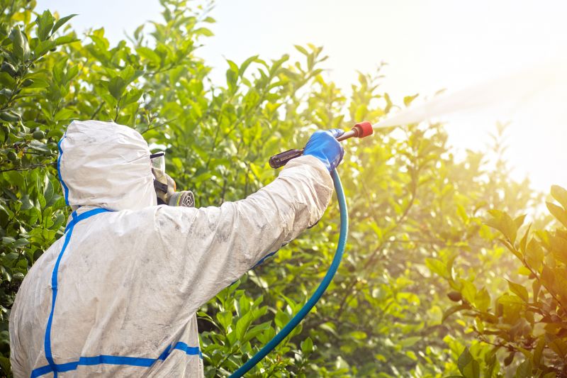 Commercial Fumigation in Toledo, OH