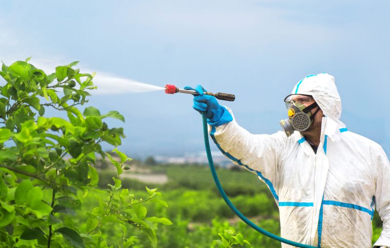 Fumigation Service in Phoenix, AZ