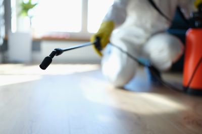 Pest Fumigation Service in Ann Arbor, MI