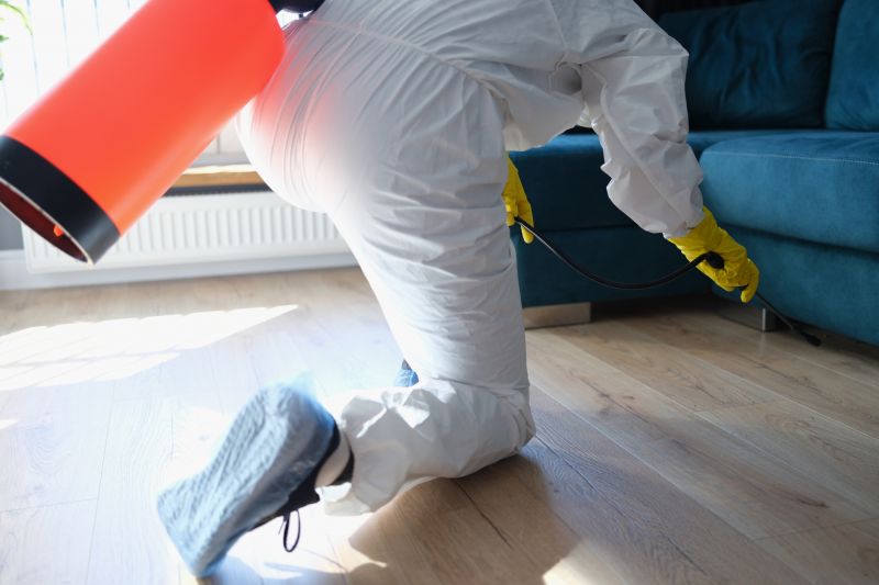 Rat Fumigation Service in Toledo, OH