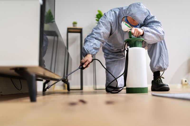 Spider Fumigation Service in Long Island, NY