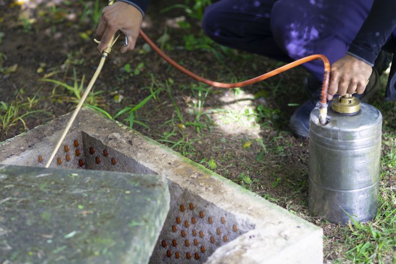 Spider Fumigation Service in Wilmington, DE